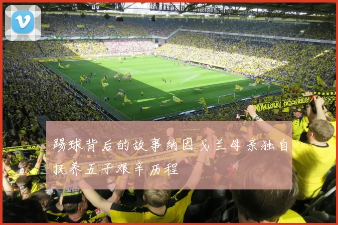踢球背后的故事纳因戈兰母亲独自抚养五子艰辛历程