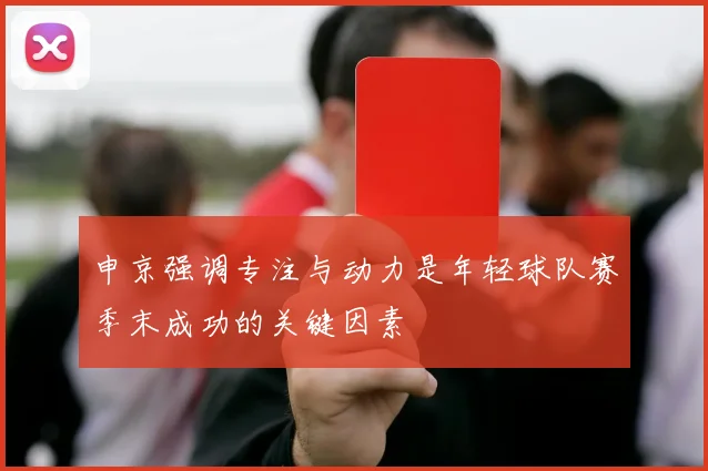 申京强调专注与动力是年轻球队赛季末成功的关键因素